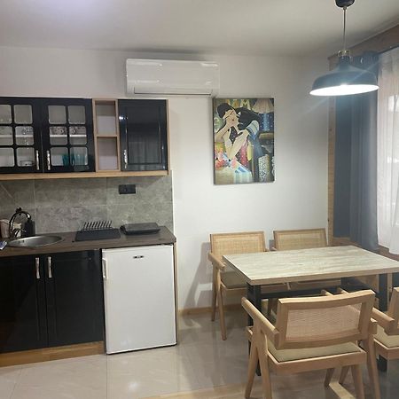 Alexandar Studio Apartman 莫克拉戈拉 外观 照片